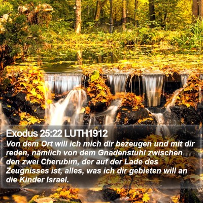Exodus 25:22 LUTH1912 Bible Verse Image