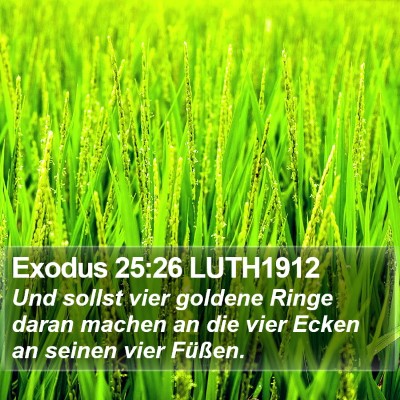 Exodus 25:26 LUTH1912 Bible Verse Image