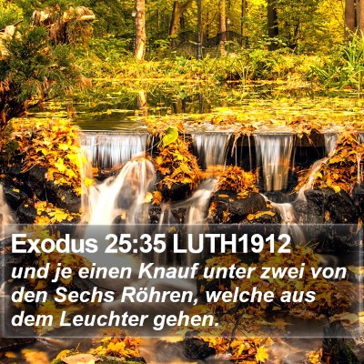 Exodus 25:35 LUTH1912 Bible Verse Image