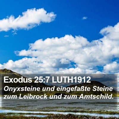 Exodus 25:7 LUTH1912 Bible Verse Image