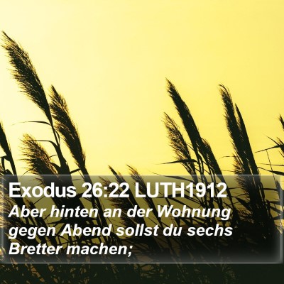 Exodus 26:22 LUTH1912 Bible Verse Image
