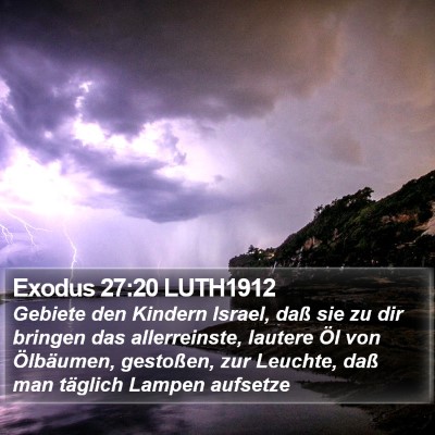 Exodus 27:20 LUTH1912 Bible Verse Image