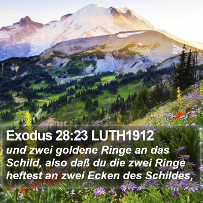 Exodus 28:23 LUTH1912 Bible Verse Image