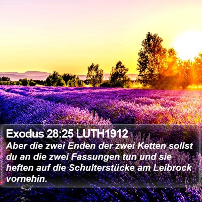 Exodus 28:25 LUTH1912 Bible Verse Image