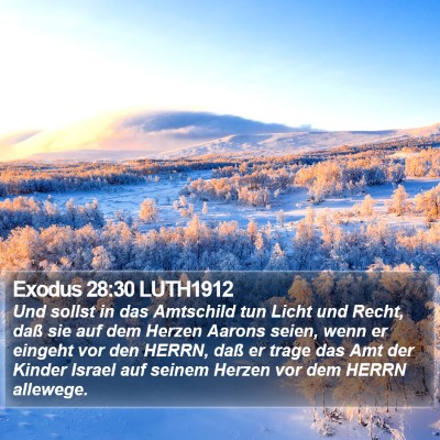 Exodus 28:30 LUTH1912 Bible Verse Image