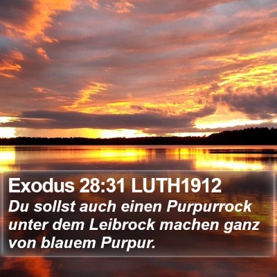 Exodus 28:31 LUTH1912 Bible Verse Image