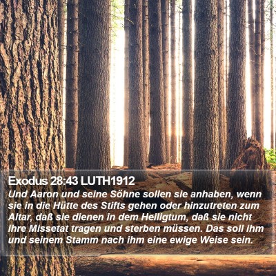 Exodus 28:43 LUTH1912 Bible Verse Image