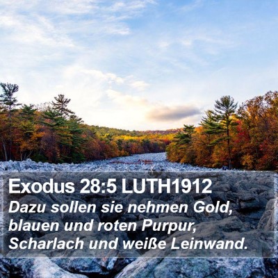 Exodus 28:5 LUTH1912 Bible Verse Image