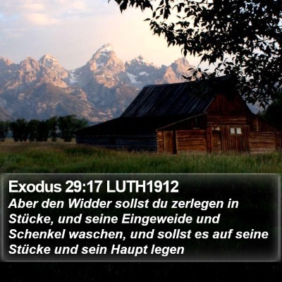 Exodus 29:17 LUTH1912 Bible Verse Image