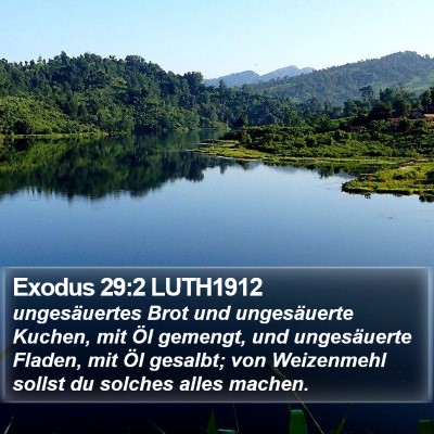 Exodus 29:2 LUTH1912 Bible Verse Image