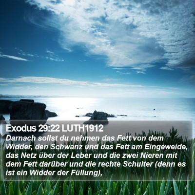 Exodus 29:22 LUTH1912 Bible Verse Image