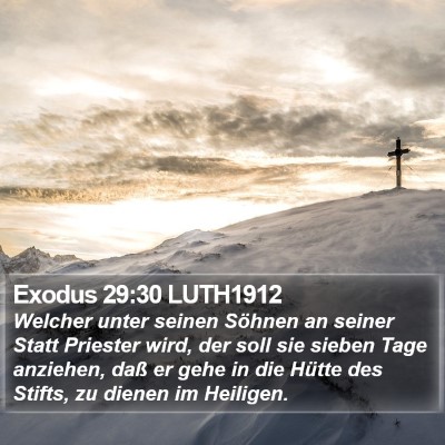 Exodus 29:30 LUTH1912 Bible Verse Image