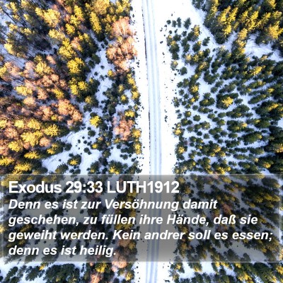 Exodus 29:33 LUTH1912 Bible Verse Image