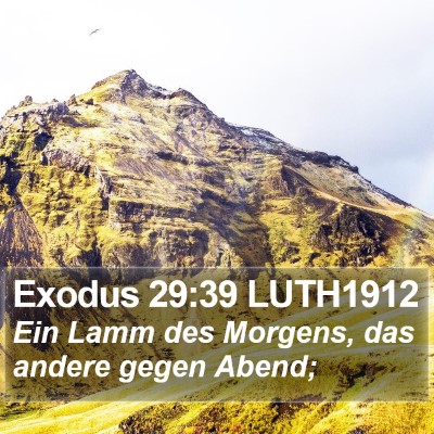 Exodus 29:39 LUTH1912 Bible Verse Image
