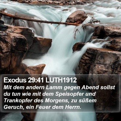 Exodus 29:41 LUTH1912 Bible Verse Image