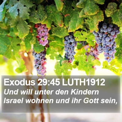 Exodus 29:45 LUTH1912 Bible Verse Image