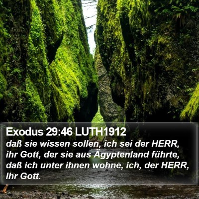 Exodus 29:46 LUTH1912 Bible Verse Image