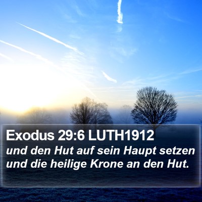 Exodus 29:6 LUTH1912 Bible Verse Image