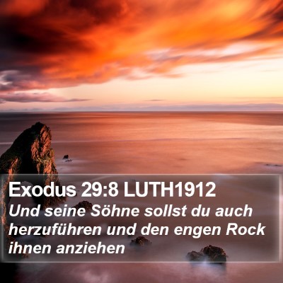 Exodus 29:8 LUTH1912 Bible Verse Image
