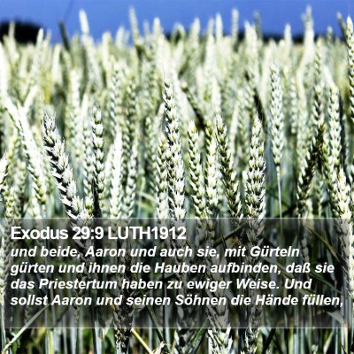 Exodus 29:9 LUTH1912 Bible Verse Image