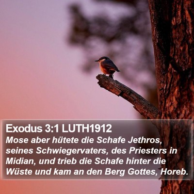 Exodus 3:1 LUTH1912 Bible Verse Image