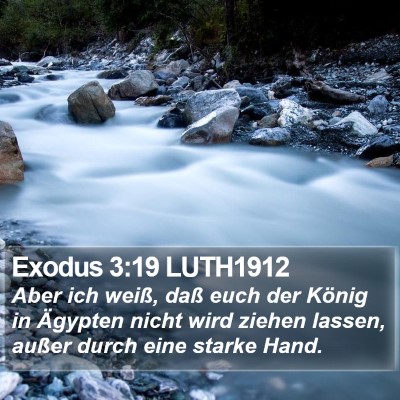 Exodus 3:19 LUTH1912 Bible Verse Image