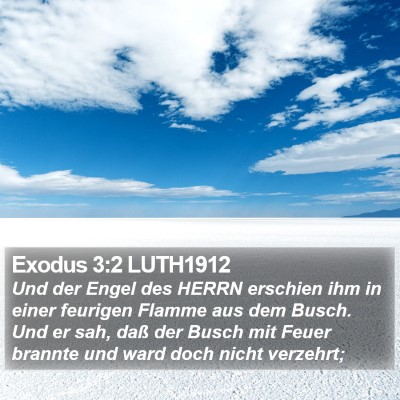 Exodus 3:2 LUTH1912 Bible Verse Image