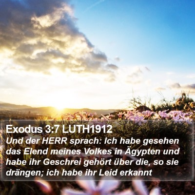 Exodus 3:7 LUTH1912 Bible Verse Image