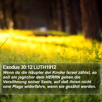 Exodus 30:12 LUTH1912 Bible Verse Image