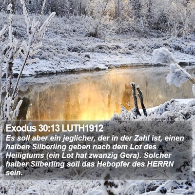 Exodus 30:13 LUTH1912 Bible Verse Image