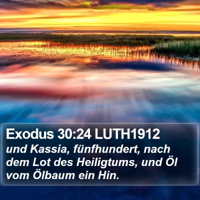 Exodus 30:24 LUTH1912 Bible Verse Image