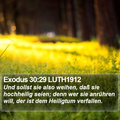 Exodus 30:29 LUTH1912 Bible Verse Image