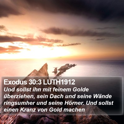 Exodus 30:3 LUTH1912 Bible Verse Image