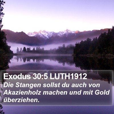 Exodus 30:5 LUTH1912 Bible Verse Image