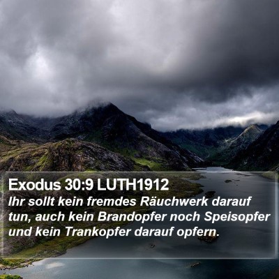 Exodus 30:9 LUTH1912 Bible Verse Image