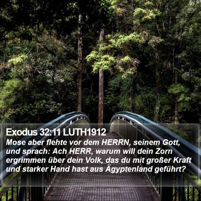 Exodus 32:11 LUTH1912 Bible Verse Image
