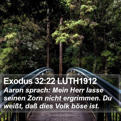 Exodus 32:22 LUTH1912 Bible Verse Image