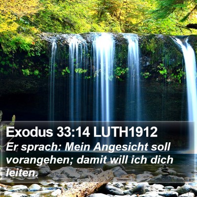 Exodus 33:14 LUTH1912 Bible Verse Image