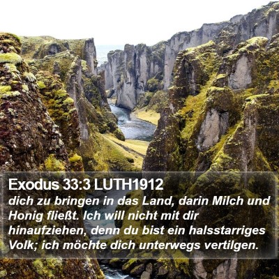 Exodus 33:3 LUTH1912 Bible Verse Image