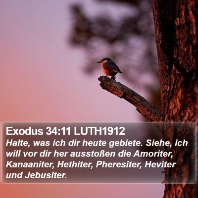 Exodus 34:11 LUTH1912 Bible Verse Image