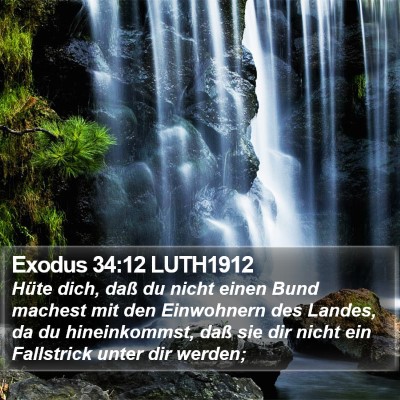 Exodus 34:12 LUTH1912 Bible Verse Image