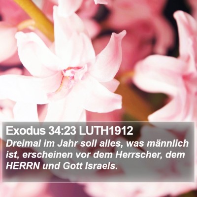Exodus 34:23 LUTH1912 Bible Verse Image