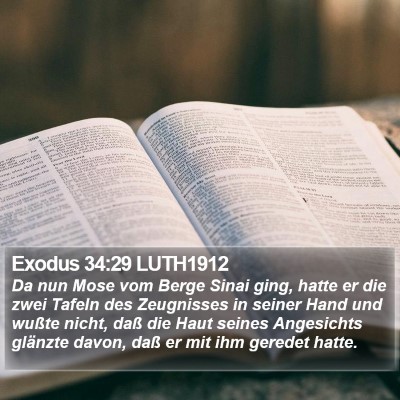Exodus 34:29 LUTH1912 Bible Verse Image
