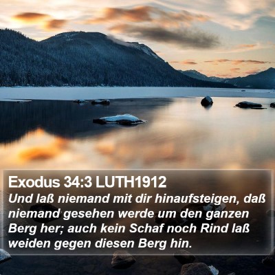 Exodus 34:3 LUTH1912 Bible Verse Image