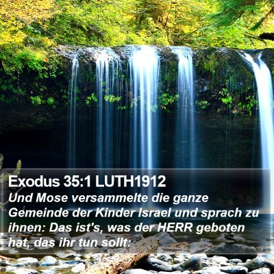 Exodus 35:1 LUTH1912 Bible Verse Image