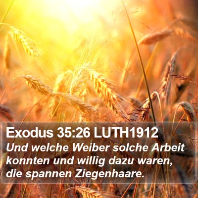 Exodus 35:26 LUTH1912 Bible Verse Image
