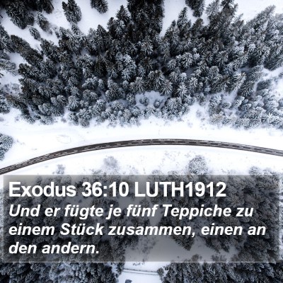 Exodus 36:10 LUTH1912 Bible Verse Image