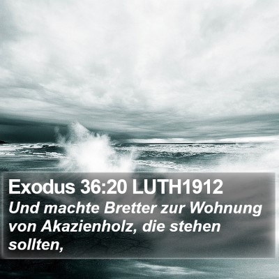Exodus 36:20 LUTH1912 Bible Verse Image