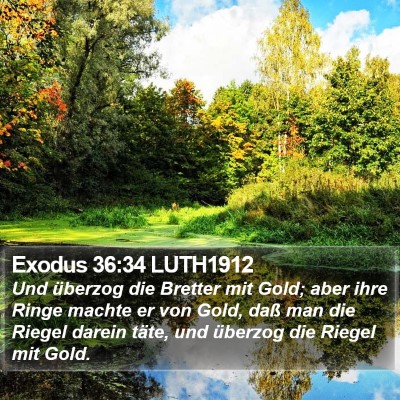 Exodus 36:34 LUTH1912 Bible Verse Image