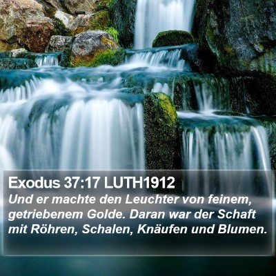 Exodus 37:17 LUTH1912 Bible Verse Image